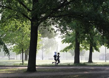 Jalan Santai vs Lari: Mana Olahraga yang Lebih Baik untuk Kesehatan?