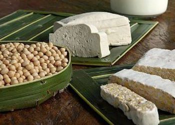 Protein Nabati: Sumber Gizi Sehat yang Kaya Manfaat