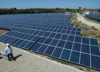 Green Jobs: Pekerjaan Ramah Lingkungan yang Jadi Tren Masa Depan