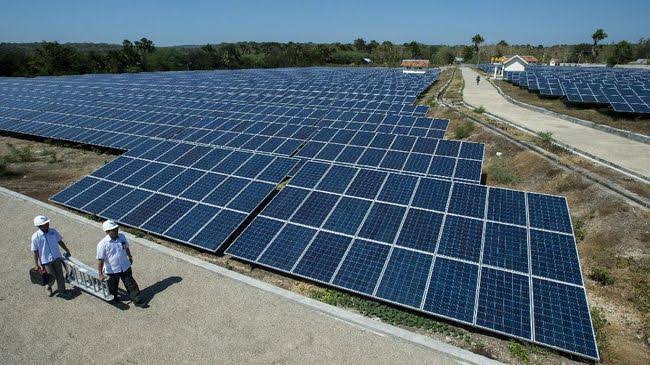 Green Jobs: Pekerjaan Ramah Lingkungan yang Jadi Tren Masa Depan