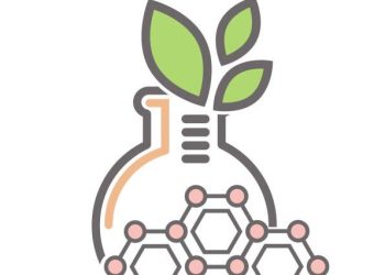 Eco-Enzyme: Pembersih Ramah Lingkungan dari Sisa Buah dan Sayur