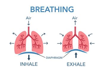 Teknik Pernapasan Sehat, Kunci Hidup Lebih Bahagia dan Panjang Umur