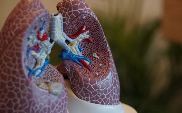 Teknik Pernapasan Sehat, Kunci Hidup Lebih Bahagia dan Panjang Umur