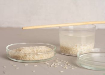 Rahasia Air Cucian Nasi: Khasiat Alami untuk Tubuh, Kulit, dan Rambut