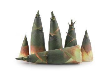 Jarang Diketahui! Ini Alasan Rebung Baik untuk Jantung dan Pencernaan