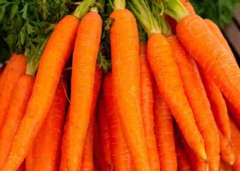 Wortel, Retinol Alami yang Bikin Kulit Cerah dan Sehat dari Dalam