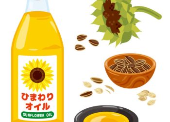 Kaya Vitamin E, Ini Manfaat Minyak Bunga Matahari bagi Tubuh