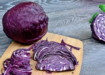 Tips Membuat Probiotik Alami dari Kol Ungu, Sehat dan Mudah di Rumah