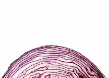 Tips Membuat Probiotik Alami dari Kol Ungu, Sehat dan Mudah di Rumah