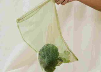 Tren Green Lifestyle: Mengurangi Sampah Plastik hingga Hemat Energi