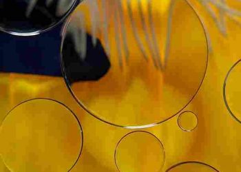 Kaya Vitamin E, Ini Manfaat Minyak Bunga Matahari bagi Tubuh