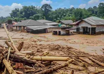 4 Perusahaan Disegel Terkait Dugaan Penyebab Banjir Sumatera, KLH Periksa 8 Perusahaan di DAS Batang Toru