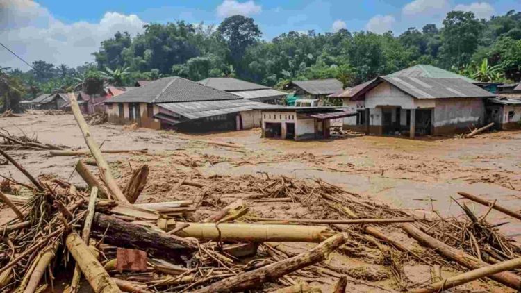 4 Perusahaan Disegel Terkait Dugaan Penyebab Banjir Sumatera, KLH Periksa 8 Perusahaan di DAS Batang Toru
