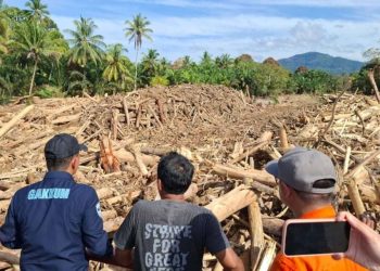 KLH Pastikan Kayu Gelondongan Banjir Sumut Hasil Penebangan, Operasional 4 Perusahaan Dihentikan Sementara