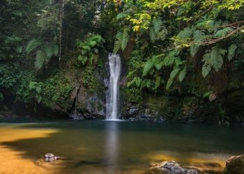 Mengapa Suara Air Bisa Membantu Tidur Lebih Cepat?