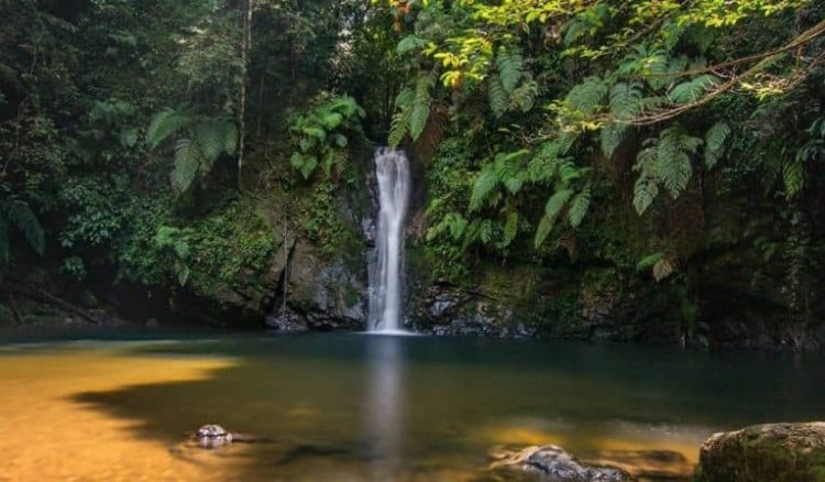Mengapa Suara Air Bisa Membantu Tidur Lebih Cepat?