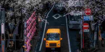 Kasus Flu Burung Pertama 2026 Terjadi di Jepang, Pemerintah Siaga