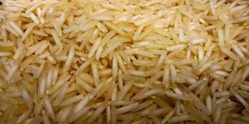 Tak Hanya Lezat, Ini Manfaat Beras Briyani untuk Kesehatan Tubuh