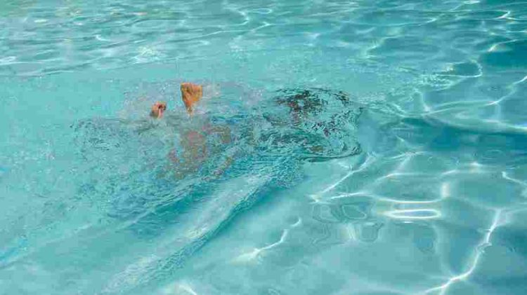 Berenang Dinilai Efektif Redakan Nyeri Syaraf Terjepit, Ini Cara yang Aman dan Dianjurkan