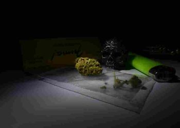 Operasi Senyap BNN di Aceh Berbuah 100 Kg Sabu dan Satu Tersangka