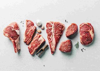 Diet Carnivora: Manfaat, Risiko, dan Fakta Ilmiah Pola Makan Tanpa Karbohidrat